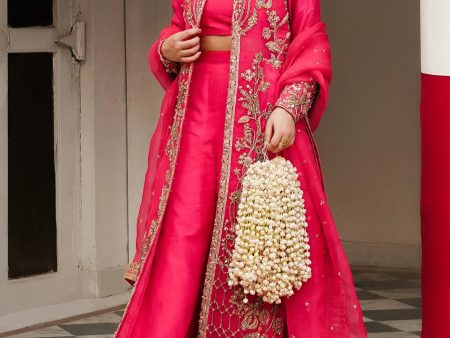 Ronaq 23 - Hot Pink And Gold Sharara Set (D-07) For Sale