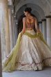 Hosanna Festive Edit 23 - Trellis Rose Lehnga Choli For Discount